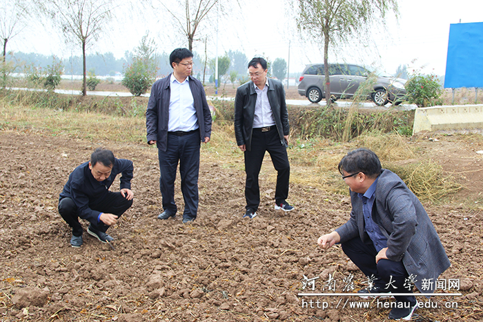 魏蒙关一行现场查看土壤墒情
