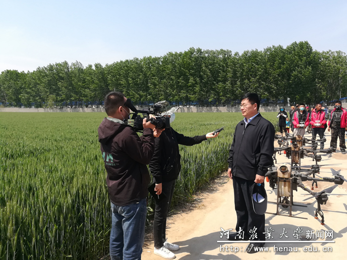 河南省小麦重大病虫害监测防控专家指导组组长李洪连教授通过媒体介绍小麦病虫害防控知识 河南省小麦重大病虫害监测防控专家指导组组长李洪连教授通过媒体介绍小麦病虫害防控知识