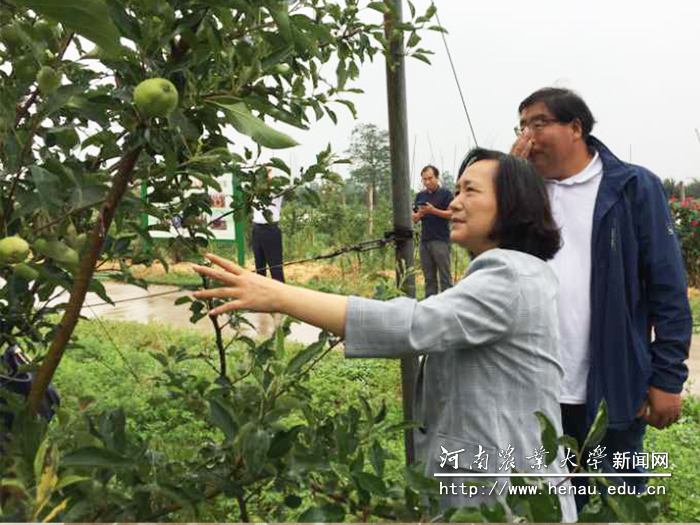 副校长尹新明深入基地对果农所遇到的问题进行了现场指导 副校长尹新明深入基地对果农所遇到的问题进行了现场指导