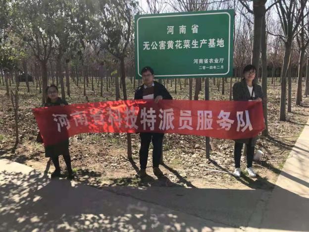 1552878830167902.jpg 淮阳2.jpg