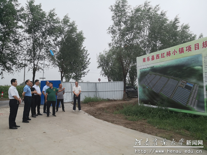 第二专家组参观南乐县番茄小镇规划 第二专家组参观南乐县番茄小镇规划