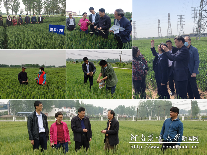 我校专家赴全省各地开展技术指导 我校专家赴全省各地开展技术指导