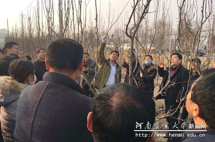 现场指导果树管理技术 现场指导果树管理技术