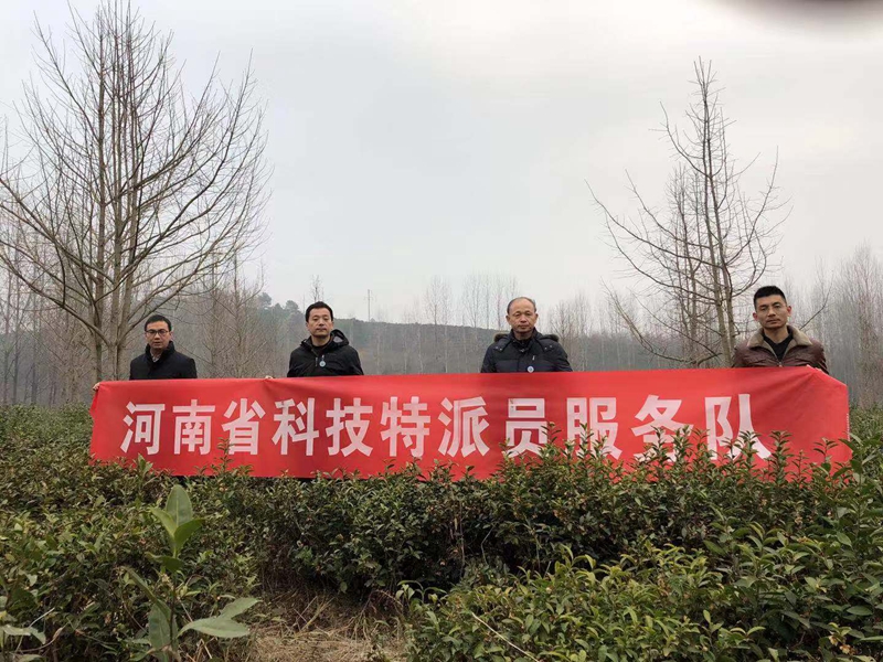 微信图片_20181219093358.jpg