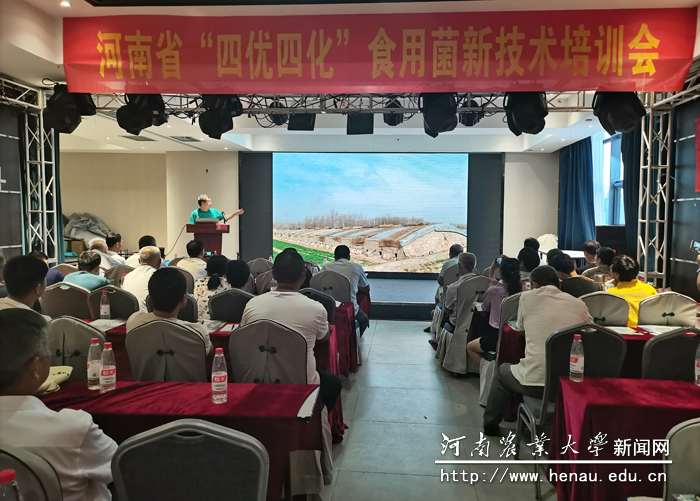 申进文教授为当地群众讲解食用菌技术 申进文教授为当地群众讲解食用菌技术