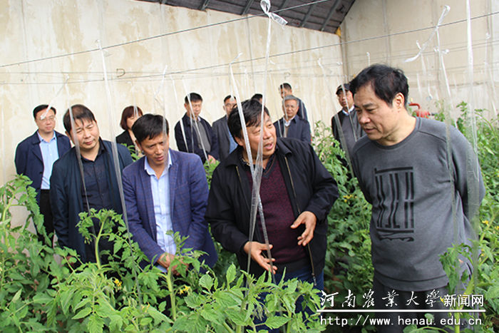 �Ÿ�ƽһ����ũҵ�������߲˴������˽�������ֲ��������