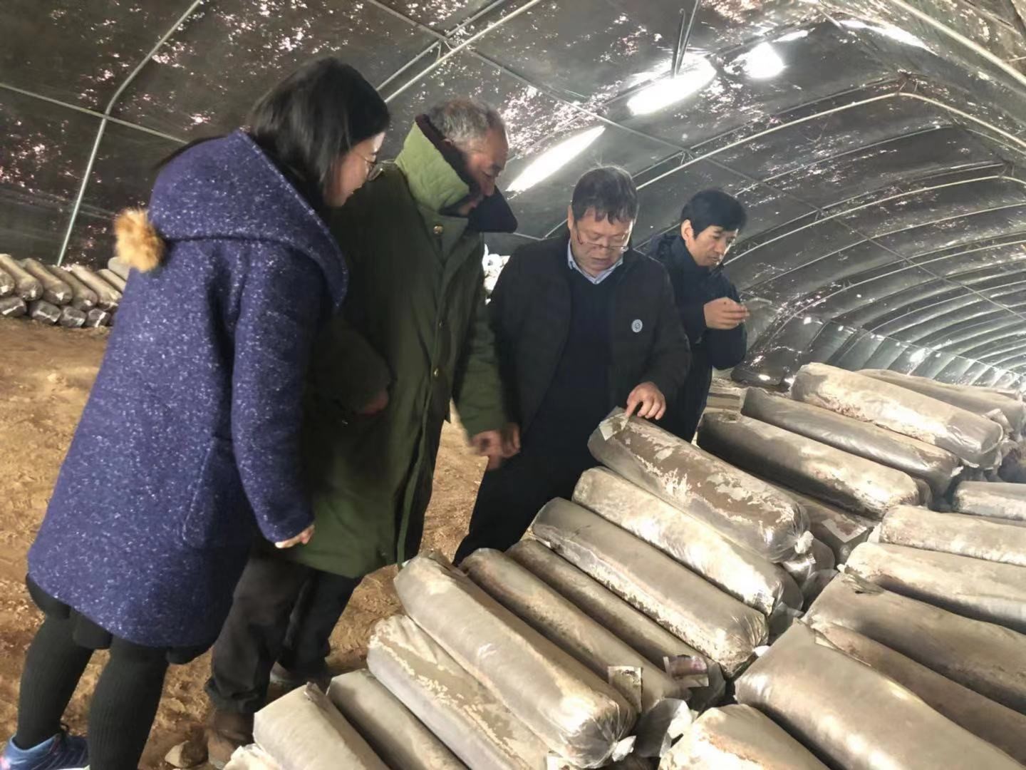 2019.3.33.jpg
