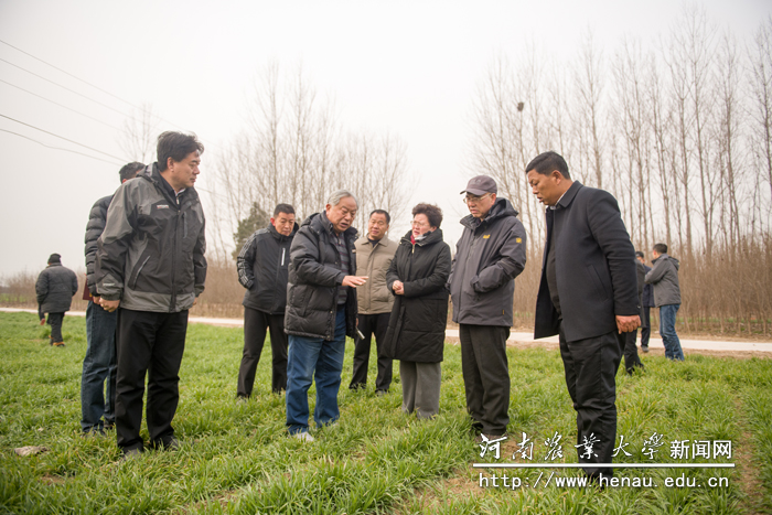 ����ƽ���Ϊ���ظɲ���Ⱥ�ڽ����������ע������