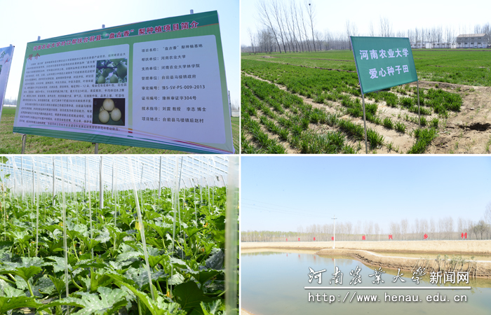 ���������ķ�ƶ��Ŀ